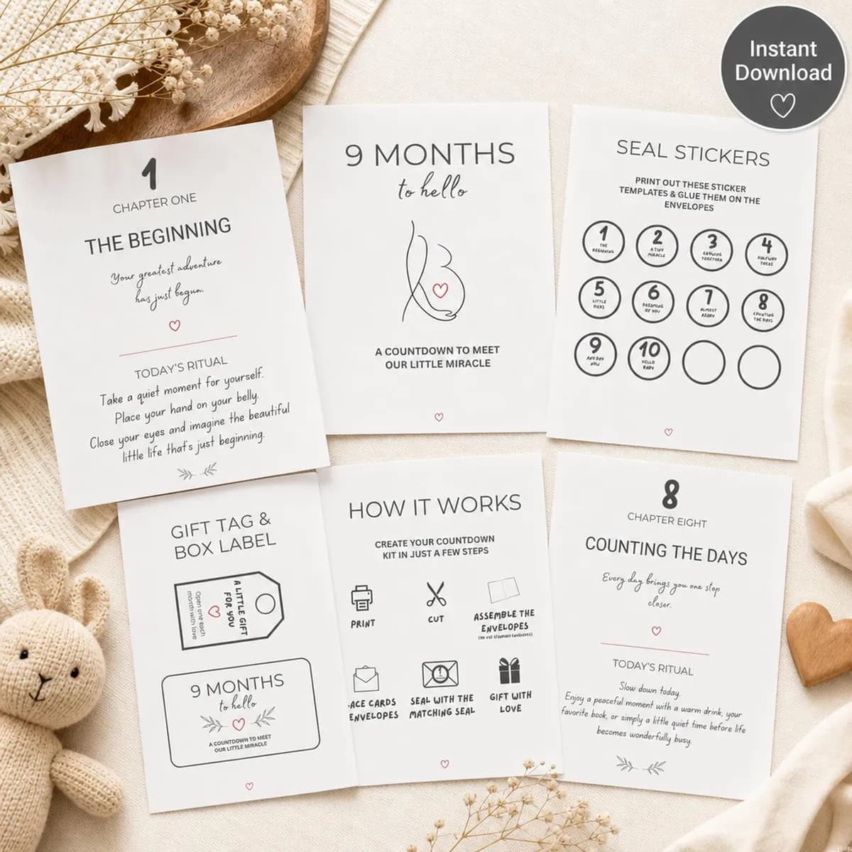 Pregnancy Countdown Gift